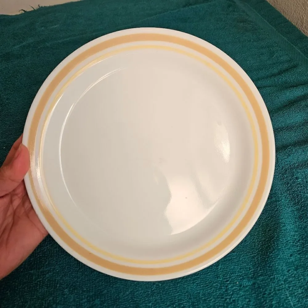 Corelle 2 luncheon plates in the Almond Citrus pattern.